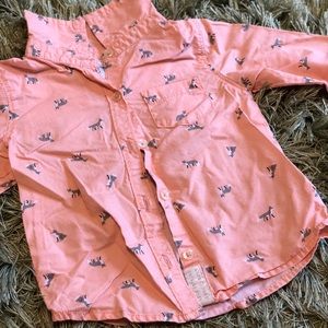 Polo 🦊 Shirt